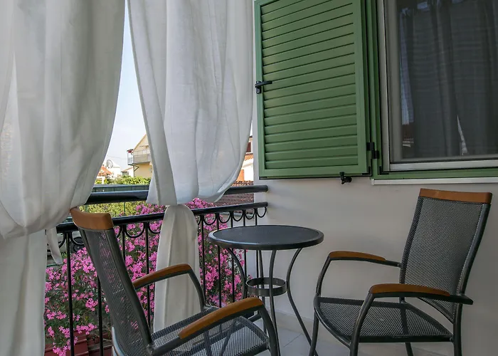 Gambera 피로바츠