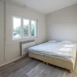 Gambera