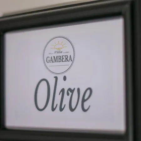 Gambera 피로바츠