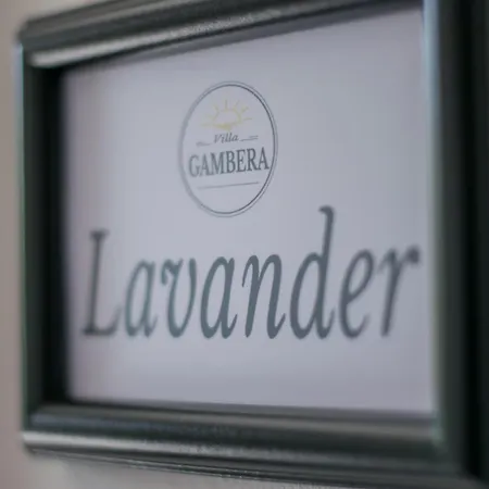 Gambera * 피로바츠
